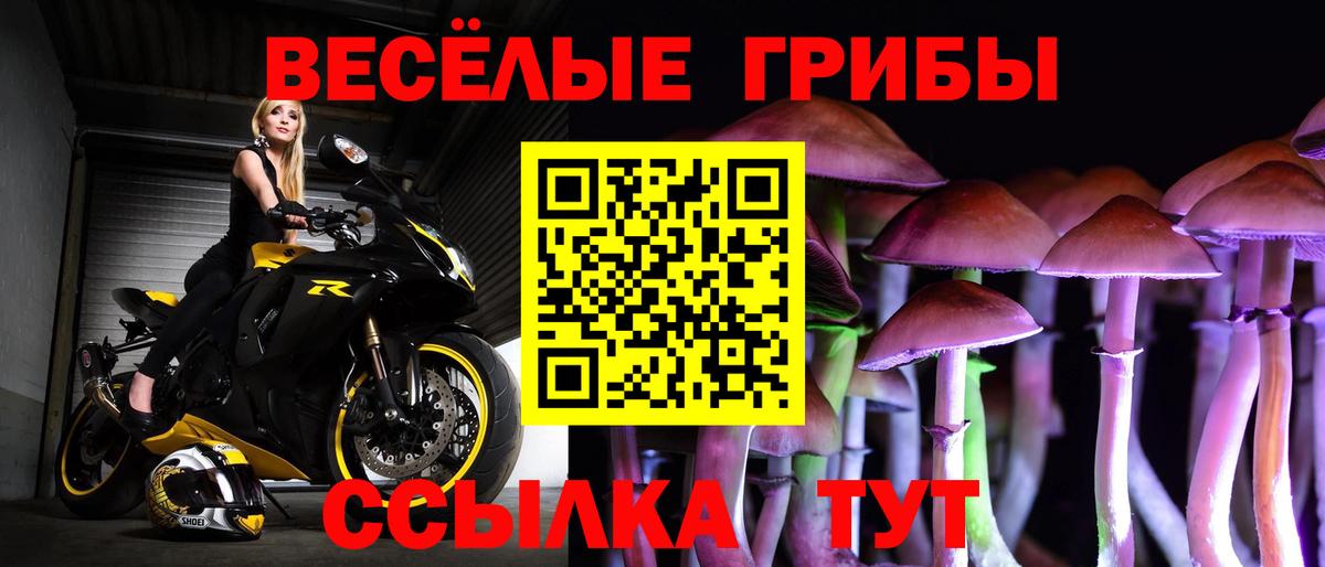 Псилоцибиновые грибы Magic Shrooms Белгород